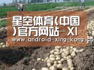 种植基地八
