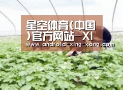种植基地三
