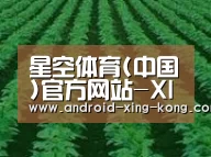 种植基地六(图1)