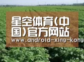 种植基地五