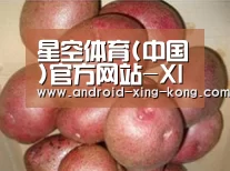产品展示标题1