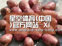 产品展示标题5(图1)