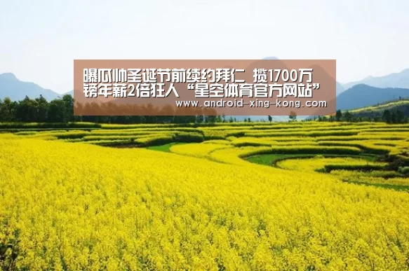 星空体育app